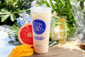 雨燕直播加盟非常适合小本投